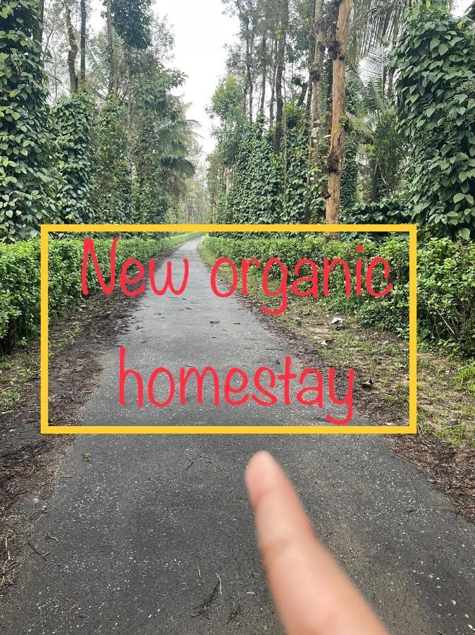 New Organic Home Stay Mudigere Exterior foto